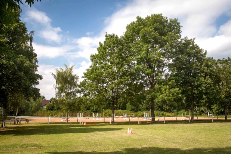 Außenreitplatz im Sommer