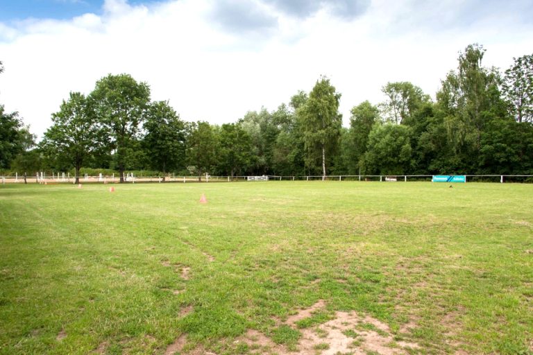 Rasenplatz Übersicht