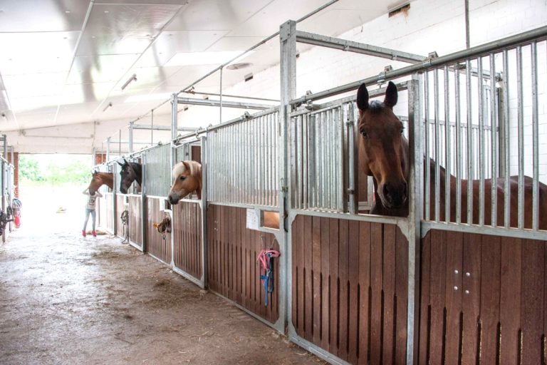 Außenansicht Stallungen